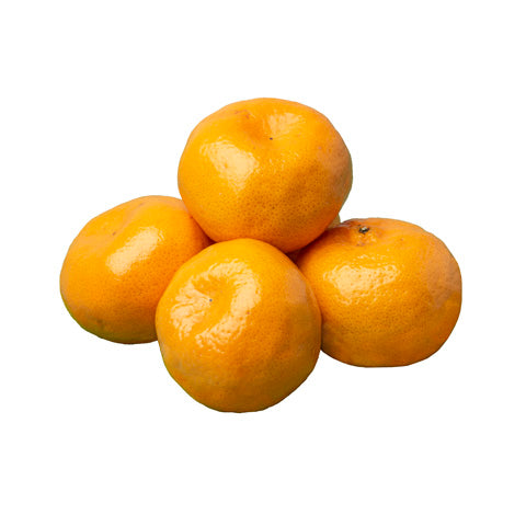 Mandarin-Imperial Small