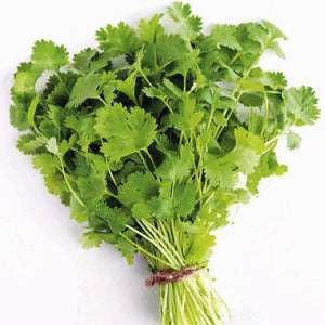 Coriander (2 Bunches)