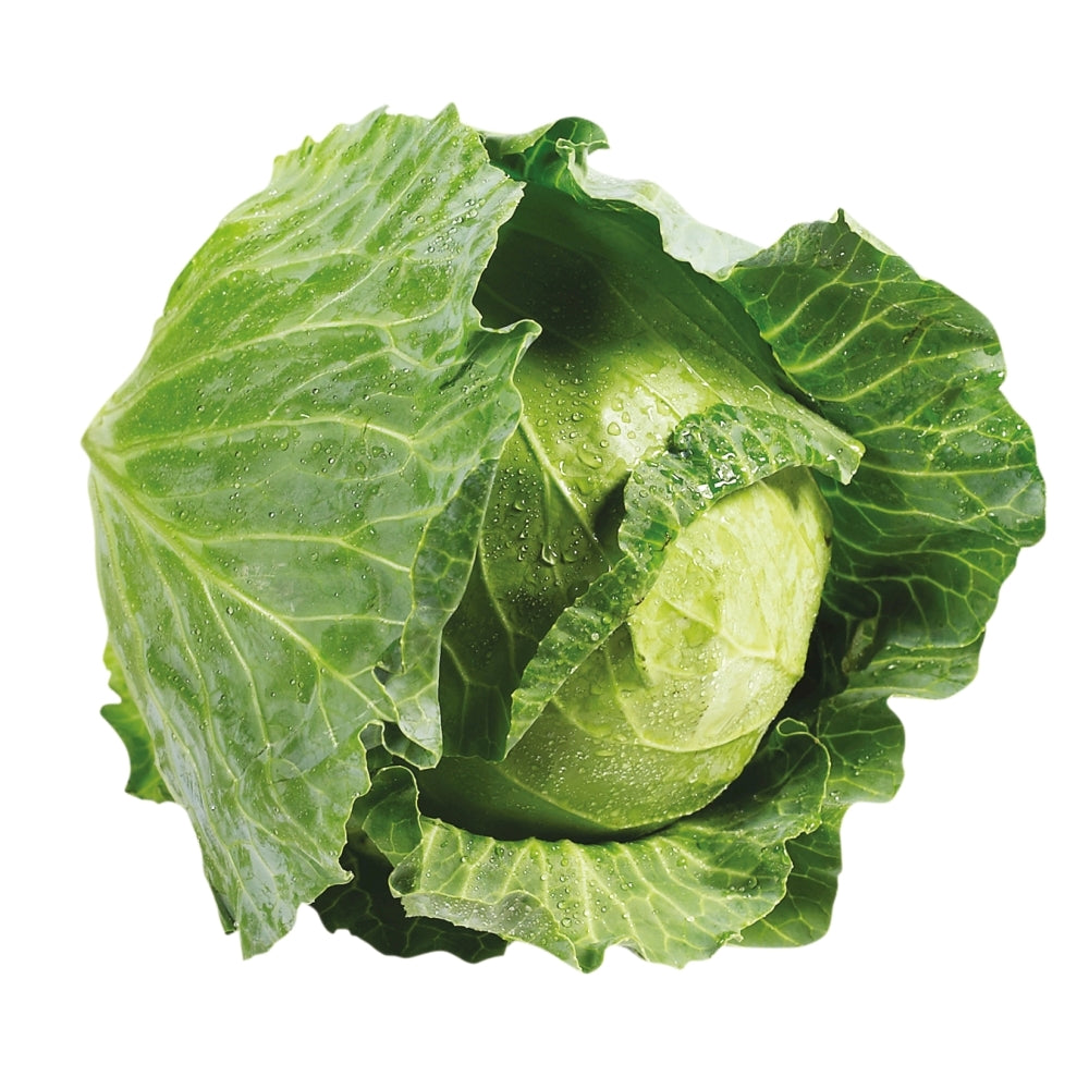 Cabbage - Plain Whole