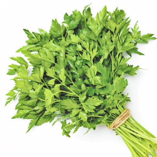 Parsley Continental