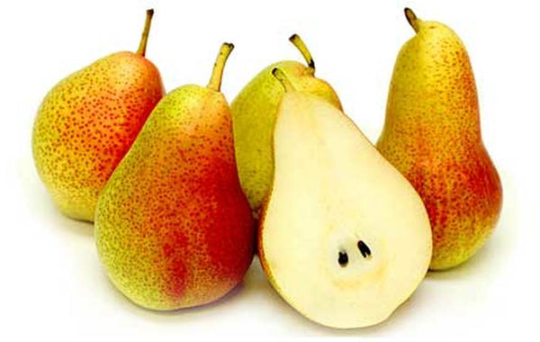 Corella Pear (Each) – Ormond Fresh Produce