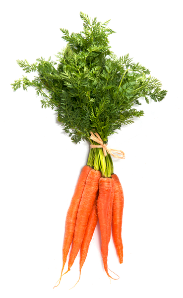 Dutch Carrots (Baby Carrots)