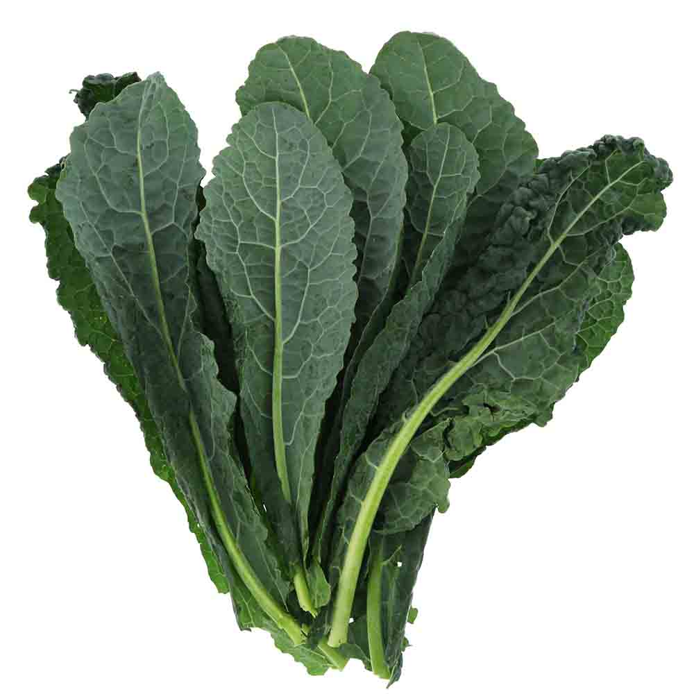 Kale - Tuscan (Bunch)