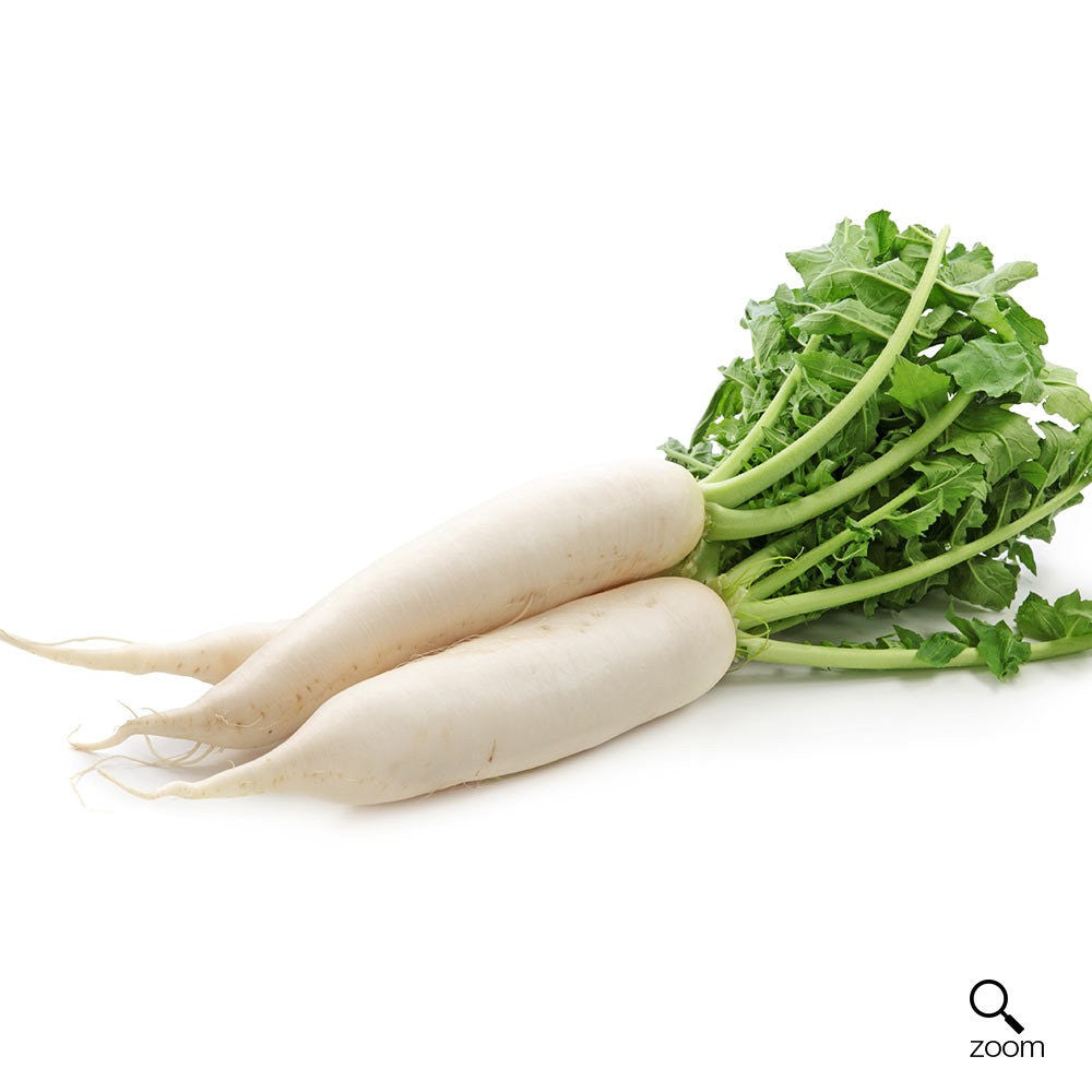 White Rasish White Radish Daikon Radish