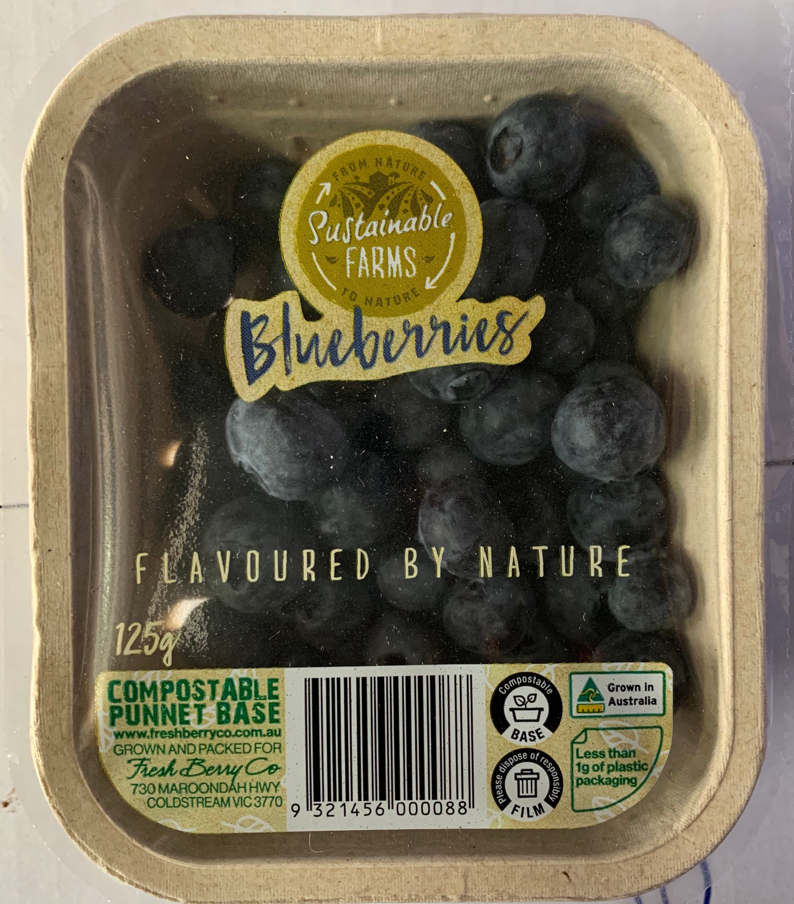Blueberries Jumbo Punnet