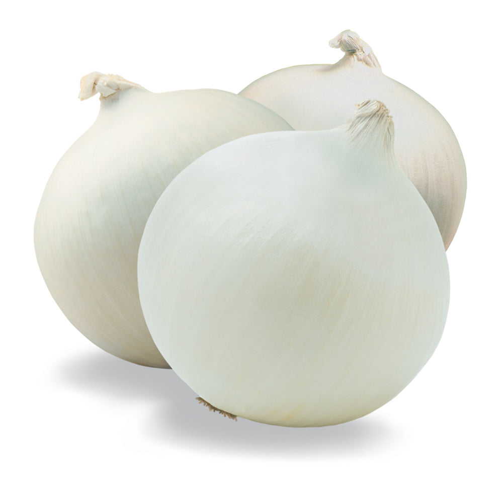 Onions-White
